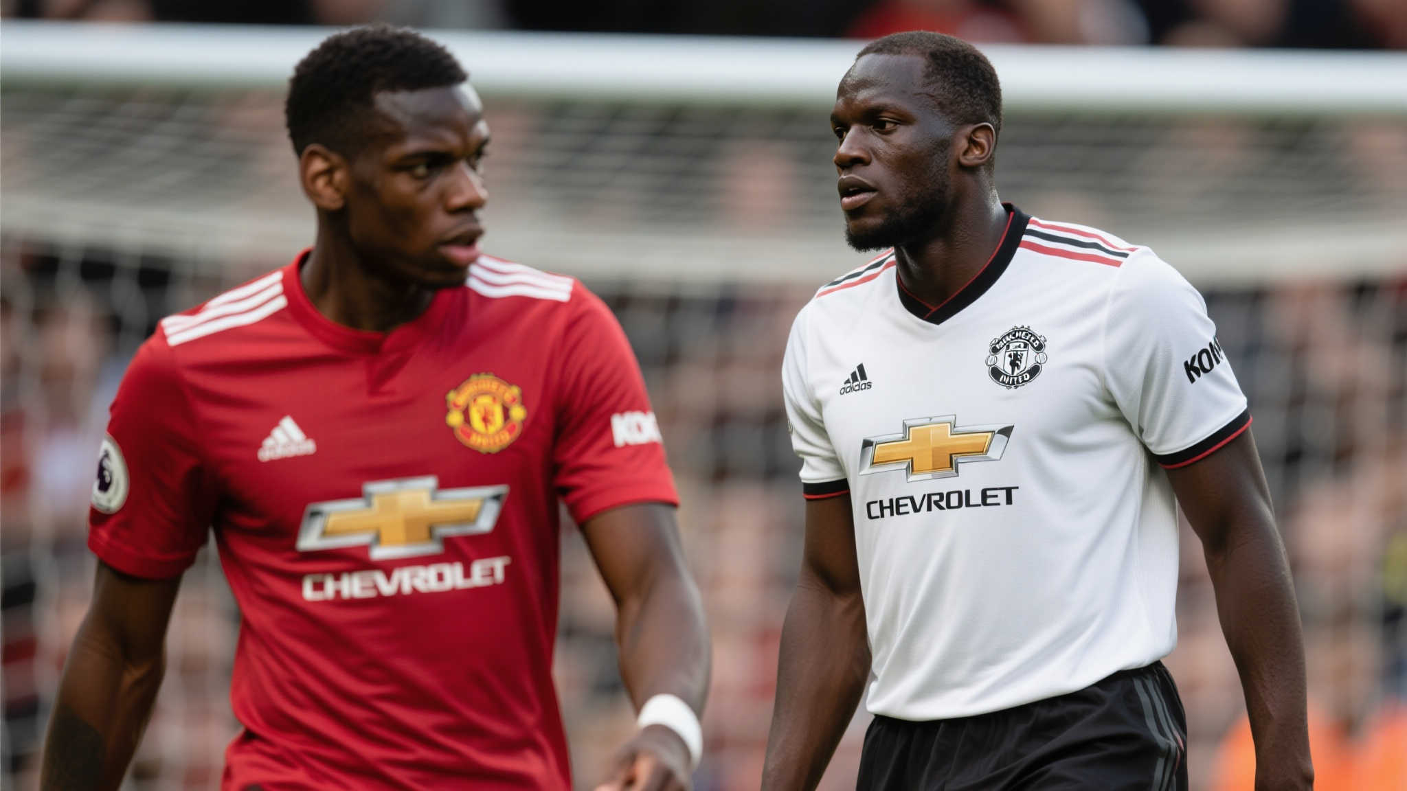 乐鱼官网APP下载